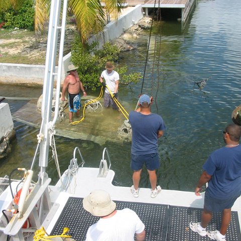 IMG_4780 IMG_4780
