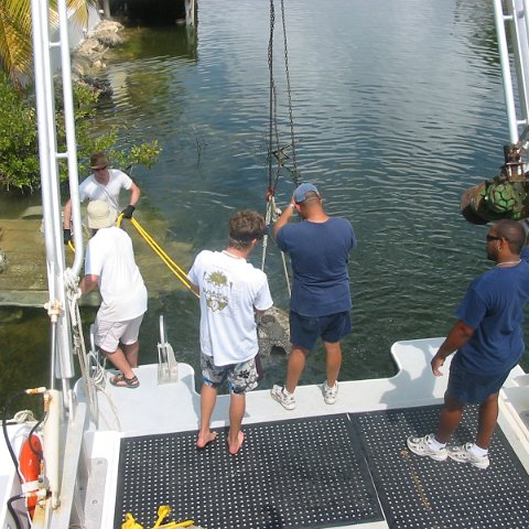 IMG_4781 IMG_4781
