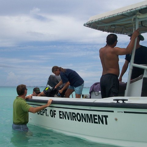 Reef Ball Coral Team Demonstration to Department of Environment on Coral Propagation & Planting Nov 2005