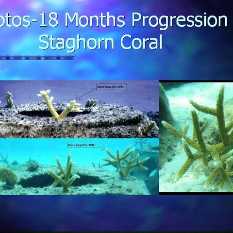 slide19 slide19