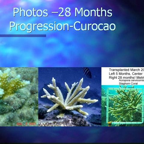 slide20 slide20