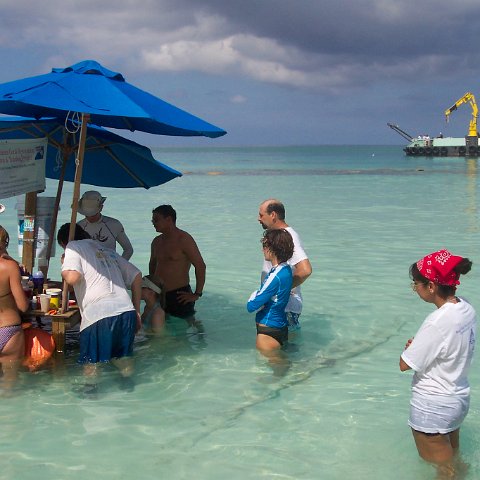 trainingdepartmentofenvironmentonthecoraltableoperations