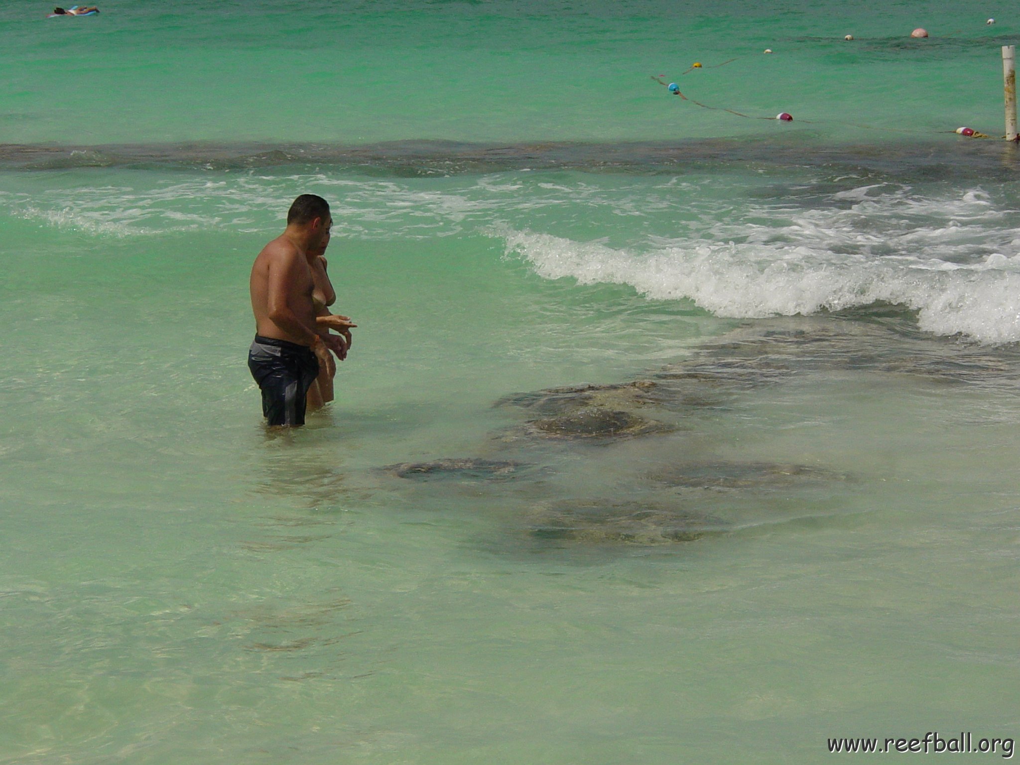 DSC00201