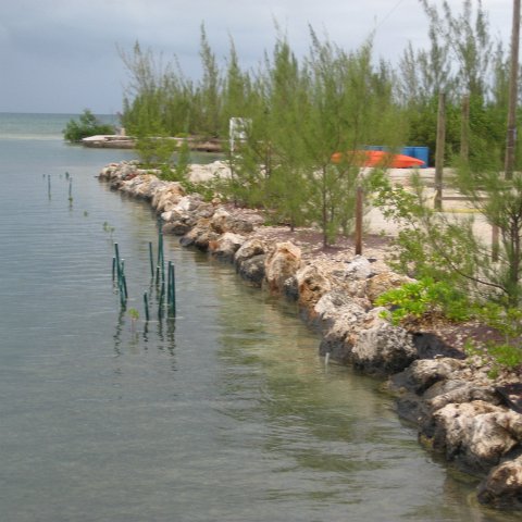 leesphotoscayman 105 leesphotoscayman 105
