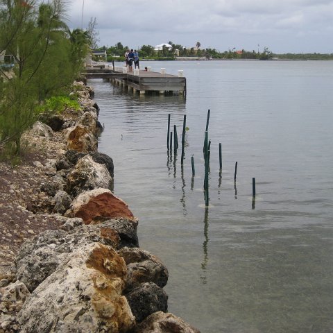 leesphotoscayman 108 leesphotoscayman 108