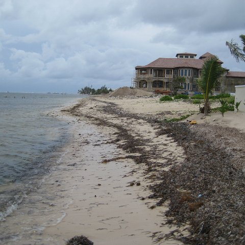 leesphotoscayman 178 leesphotoscayman 178