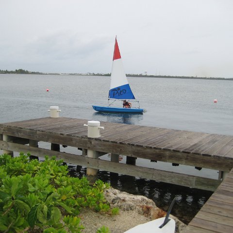 leesphotoscayman 258 leesphotoscayman 258