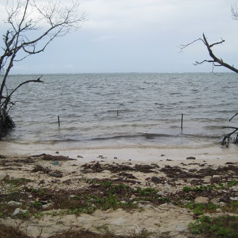 leesphotoscayman 068 leesphotoscayman 068