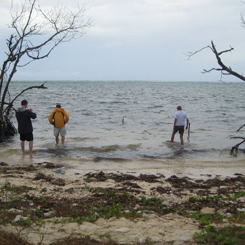 leesphotoscayman 069 leesphotoscayman 069