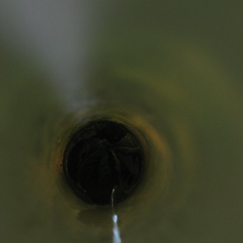 leesphotoscayman 087 leesphotoscayman 087