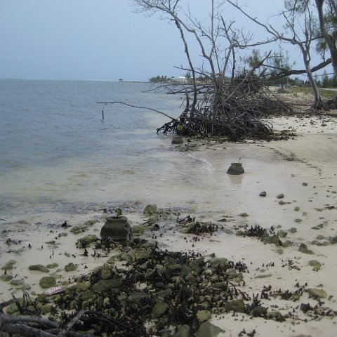 leesphotoscayman 268 leesphotoscayman 268