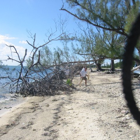 IMG_0049 IMG_0049