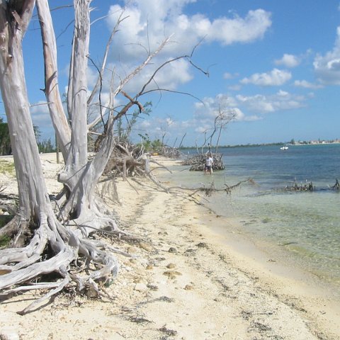 IMG_0051 IMG_0051