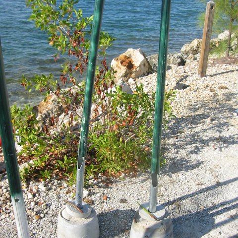 IMG_0060 IMG_0060