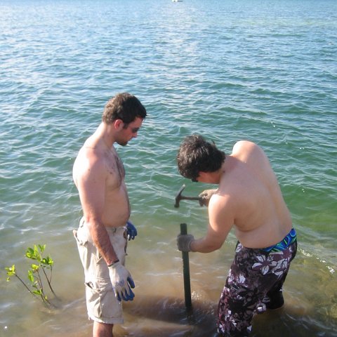 IMG_0061 IMG_0061