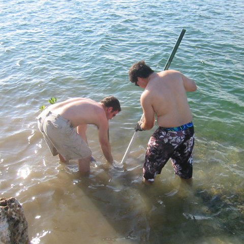 IMG_0062 IMG_0062