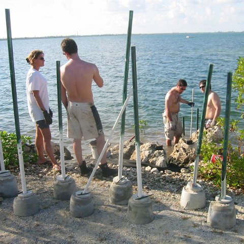 IMG_0063 IMG_0063