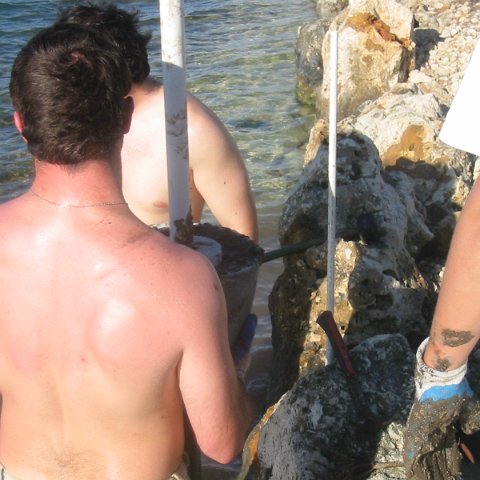 IMG_0065 IMG_0065