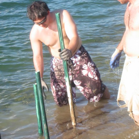IMG_0066 IMG_0066