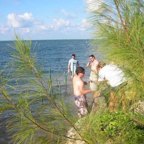 IMG_0075 IMG_0075