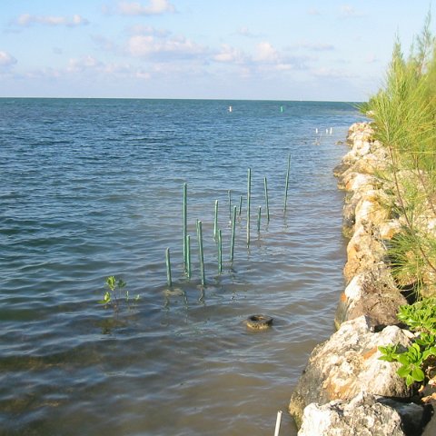 IMG_0079 IMG_0079