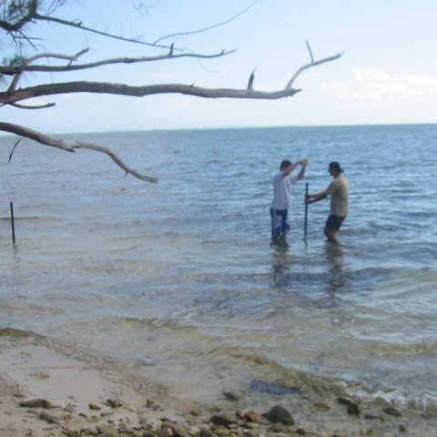 IMG_0089 IMG_0089