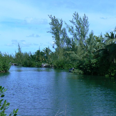 P1010042 P1010042