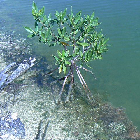 P1010045 P1010045