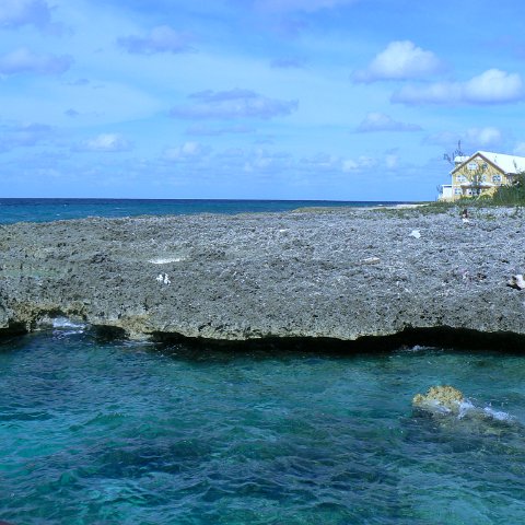 P1010052 P1010052