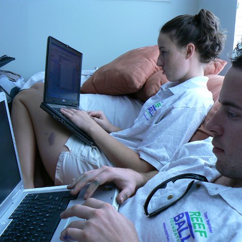 P1010173 P1010173