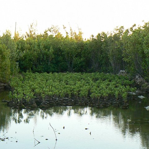 P1010254 P1010254