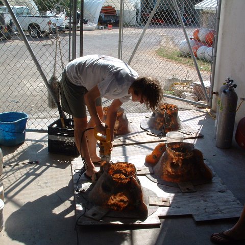DoECommunityReefBallPlanterConstructionProjects DoECommunityReefBallPlanterConstructionProjects