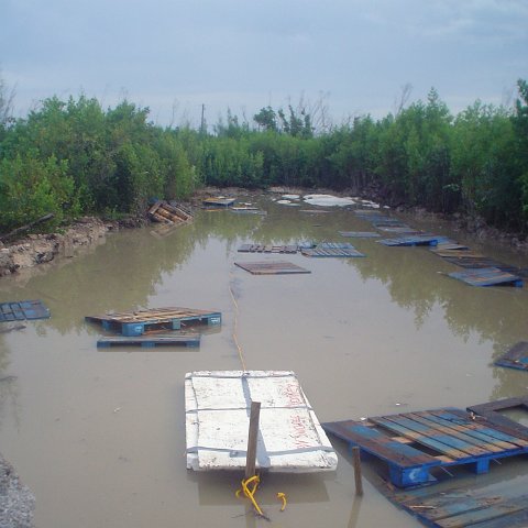 benspicst040 benspicst040