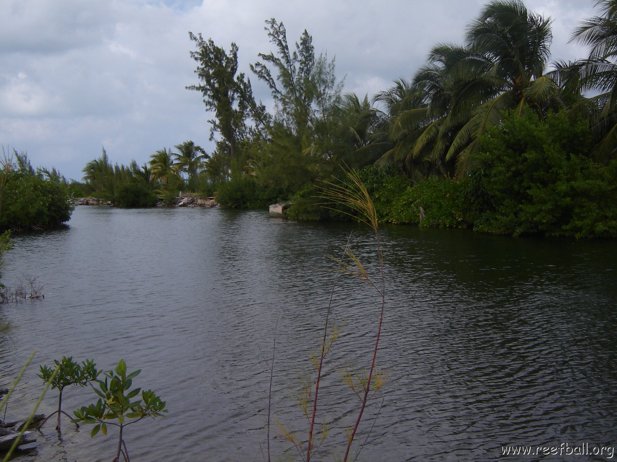 Jenna_Grand_Cayman_070301 037