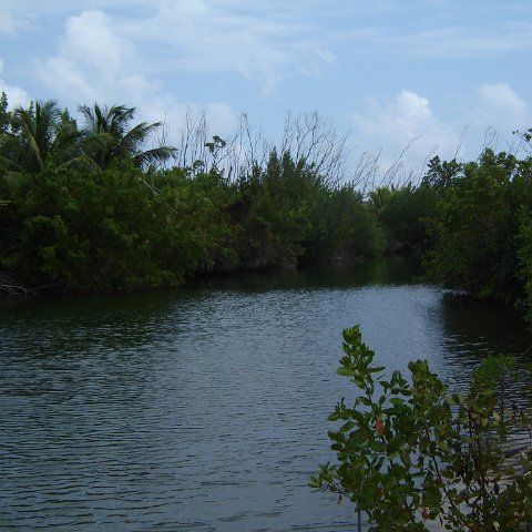 Jenna_Grand_Cayman_070301 036 Jenna_Grand_Cayman_070301 036