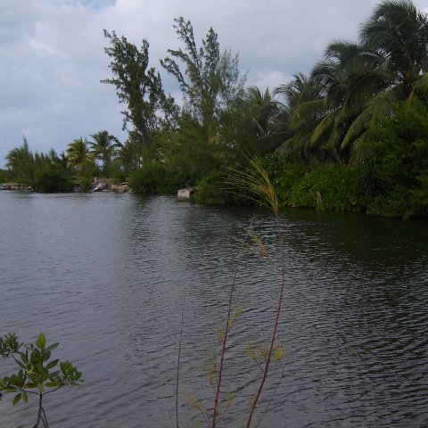 Jenna_Grand_Cayman_070301 037 Jenna_Grand_Cayman_070301 037