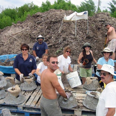 Red Mangrove Potting Table Operations