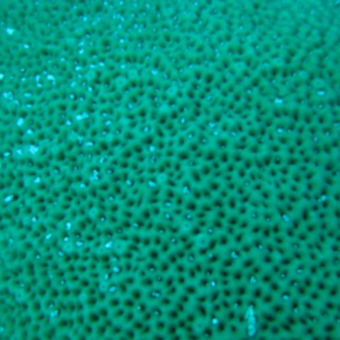 catherinecayman 043 catherinecayman 043