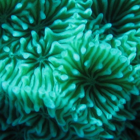catherinecayman 098 catherinecayman 098