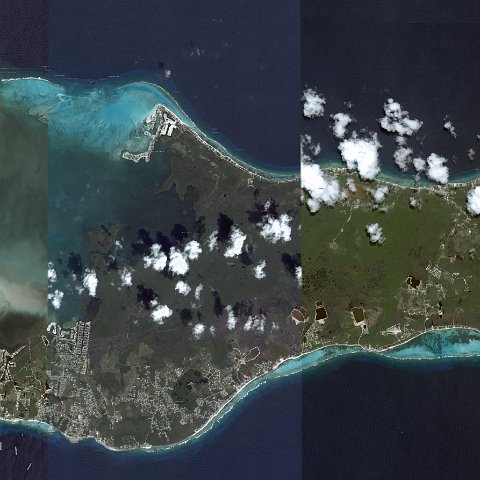 Cayman Island Reef Ball Projects and Photos Cayman Island Reef Ball Projects and Photos