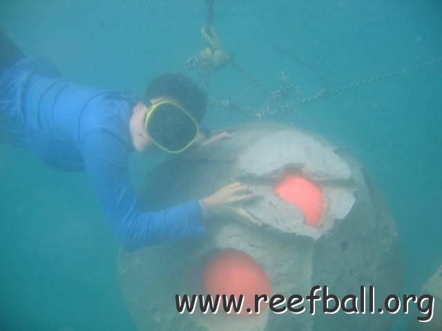 Oscy y Reef Ball