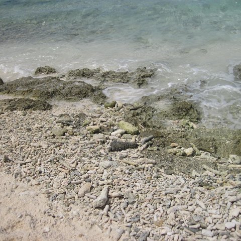 IMG_1566 IMG_1566