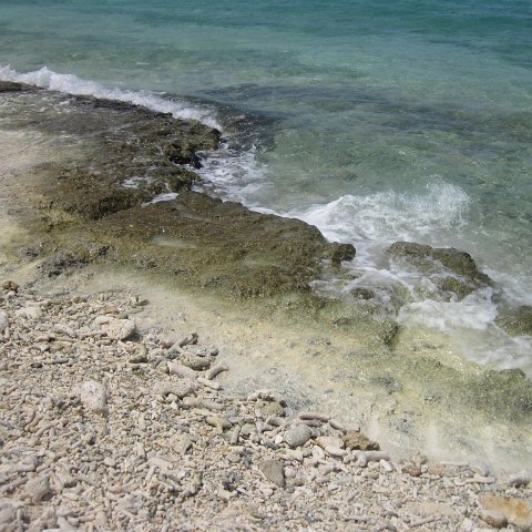 IMG_1567 IMG_1567
