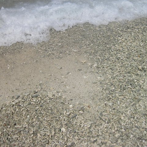 IMG_1570 IMG_1570