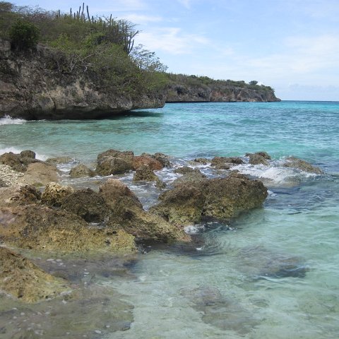 IMG_1578 IMG_1578