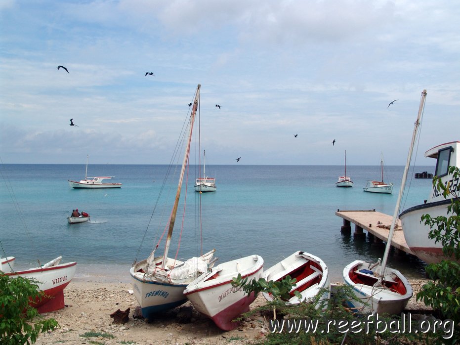 photosbyheatherfabroandleowaltersallrightsreserved_013.jpg