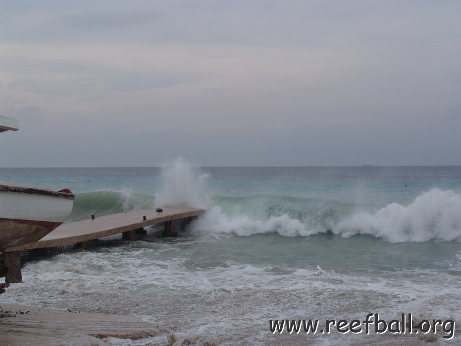 photosbyheatherfabroandleowaltersallrightsreserved_015.jpg