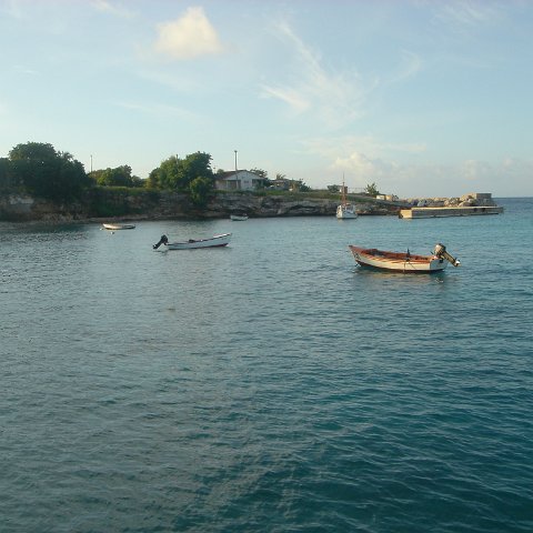 dsc05901 dsc05901