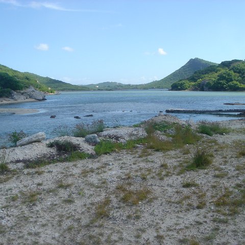 dsc05916 dsc05916