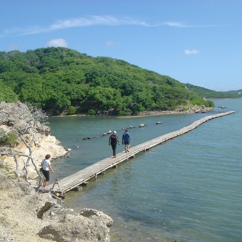 dsc05923 dsc05923